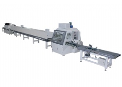 Linear Profile Paint Spraying & Drying Line